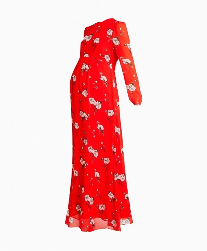 Location Robe de soirée Ivy and Oak 2