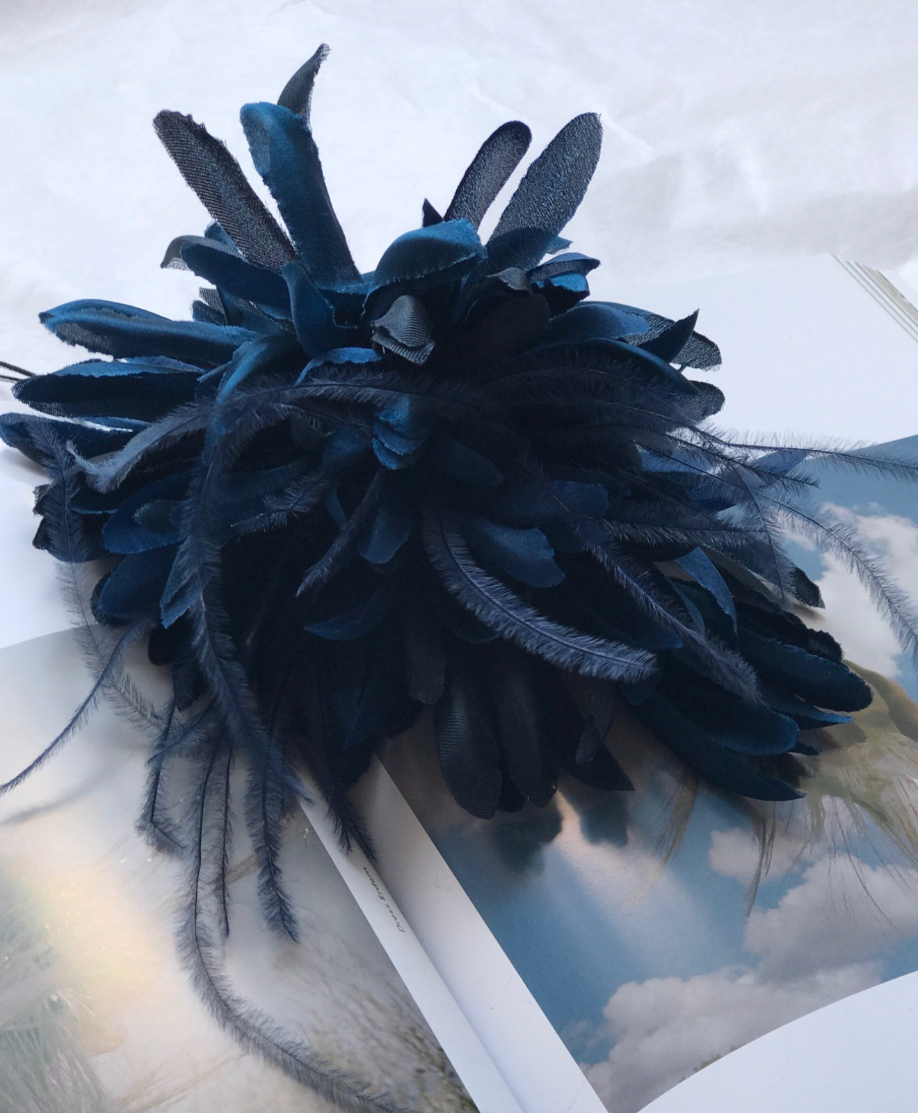 Location broche Indress Bleue