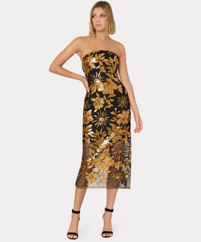 Location Robe de soirée Milly 1