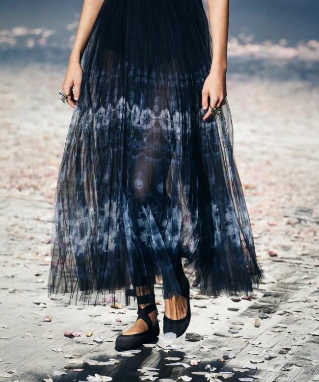 Location Robe de soirée Dior, modèle Night Ballet SS2019 4