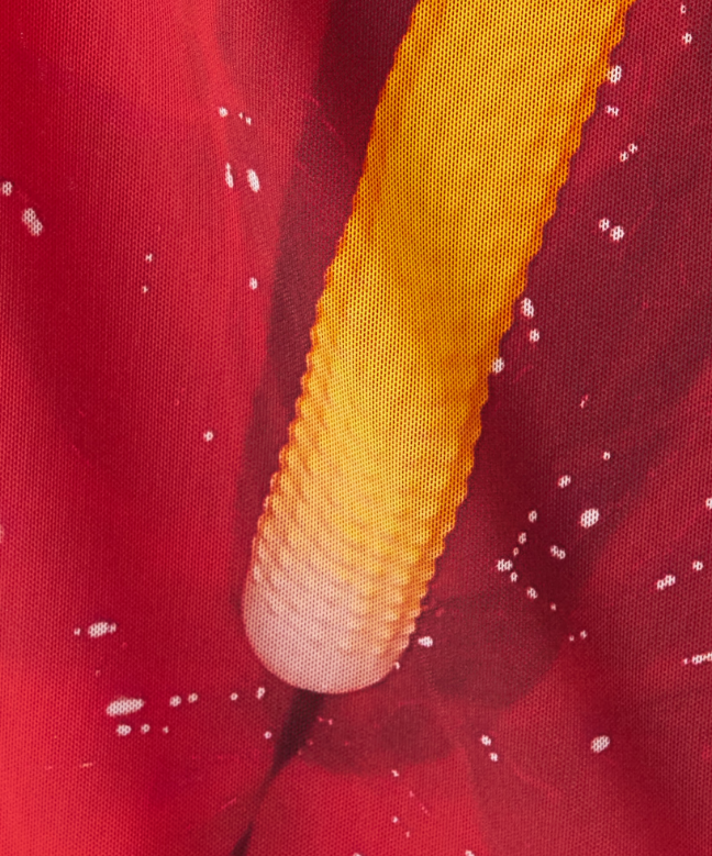 Location Robe de soirée Loewe 4