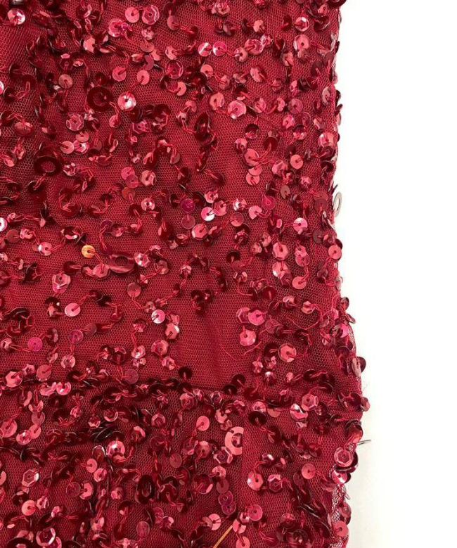 Location Robe de soirée Adrianna Papell, modèle Rouge Paillette 3