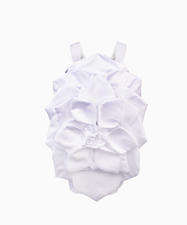 Location Robe de soirée Coyelle