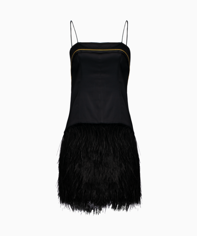 Location Robe de soirée Mousseline Plumes 1