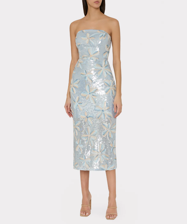 Location Robe de soirée Milly 1