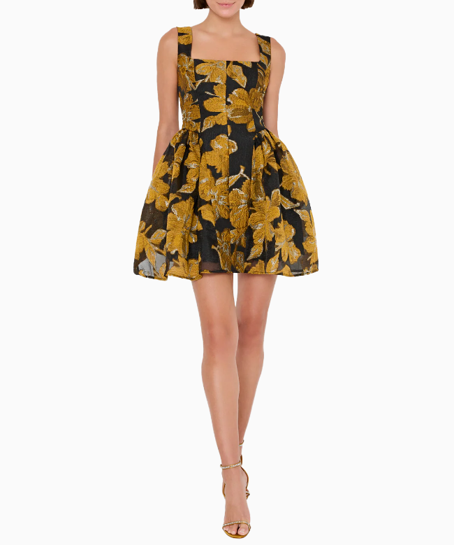 Location Robe de soirée Milly, modèle Erin Brocade 2