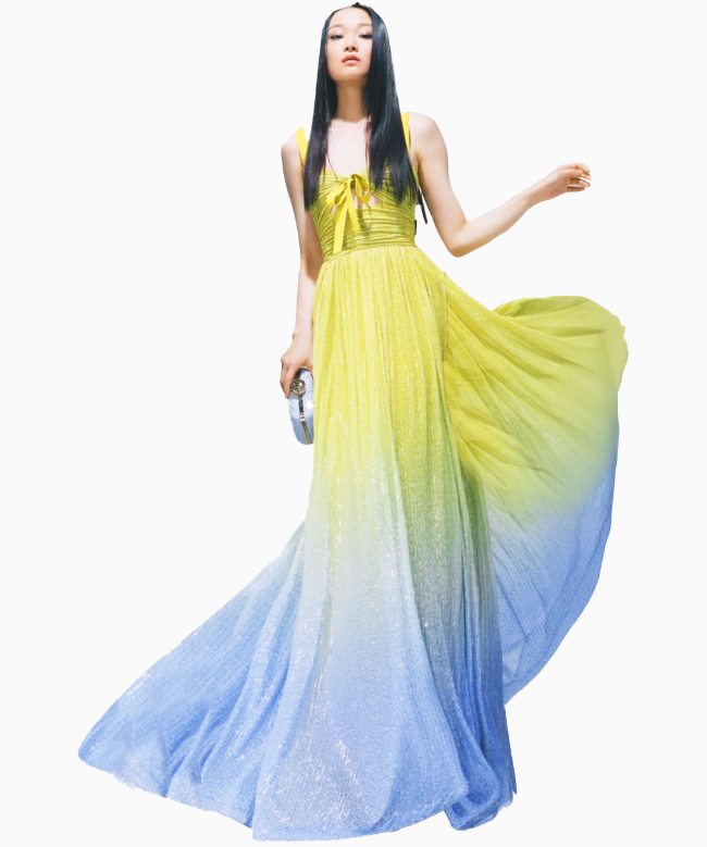 Location Robe de soirée Elie Saab 1