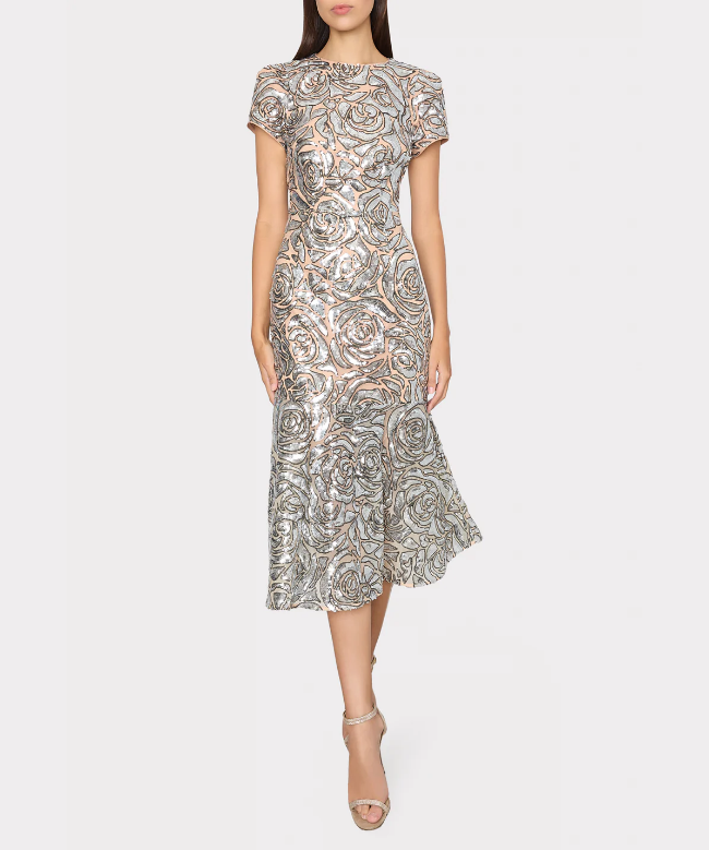 Location Robe de soirée Milly 2