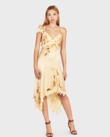 Robe Cascade Florale FW 2001