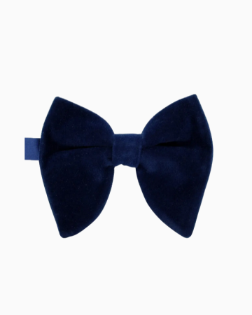 Noeud Papillon Butterfly Blue